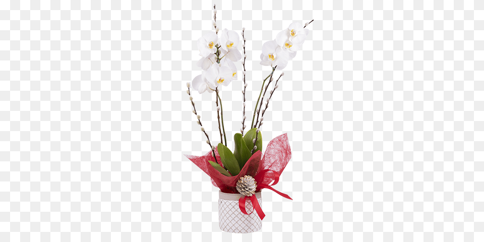 Christmas Orchid, Flower, Flower Arrangement, Flower Bouquet, Plant Png Image