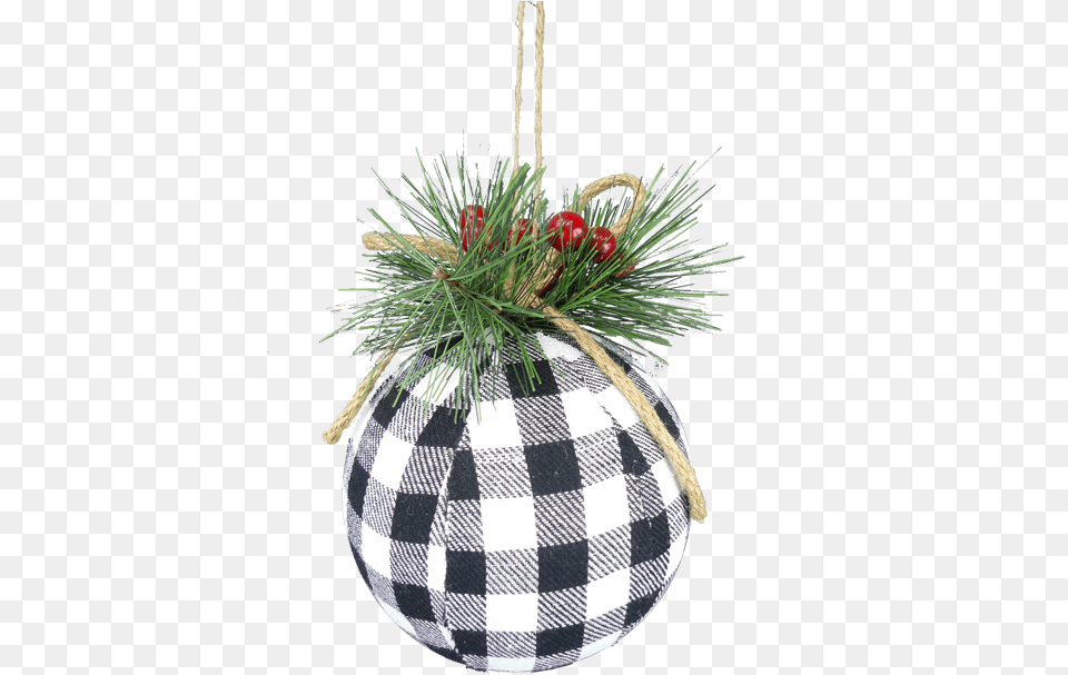Christmas Ornament, Plant, Christmas Decorations, Festival, Christmas Tree Png Image