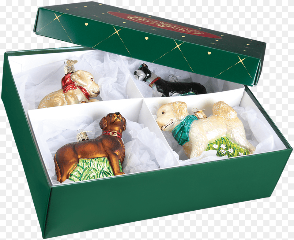 Christmas Ornament, Box, Person, Animal, Canine Free Transparent Png