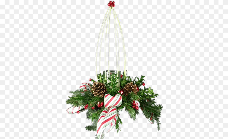 Christmas Ornament, Flower, Flower Arrangement, Plant, Christmas Decorations Free Png Download