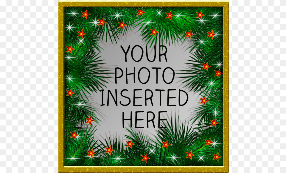 Christmas Ornament, Plant, Tree, Envelope, Greeting Card Png