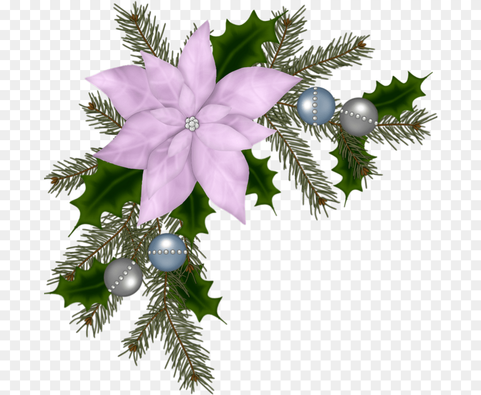 Christmas Ornament, Plant, Tree, Accessories, Balloon Png Image