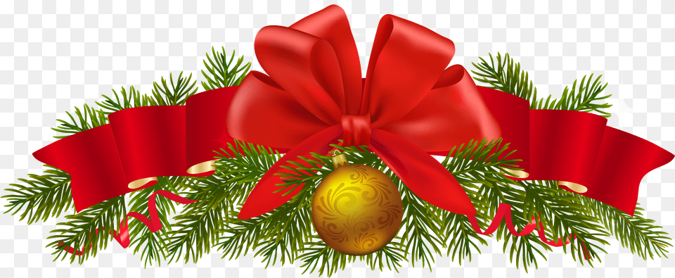 Christmas Ornaments Hd Christmas Decorations, Plant, Tree Png