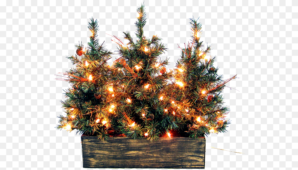 Christmas Outside Picture Mart Christmas Day, Plant, Tree, Christmas Decorations, Festival Free Transparent Png