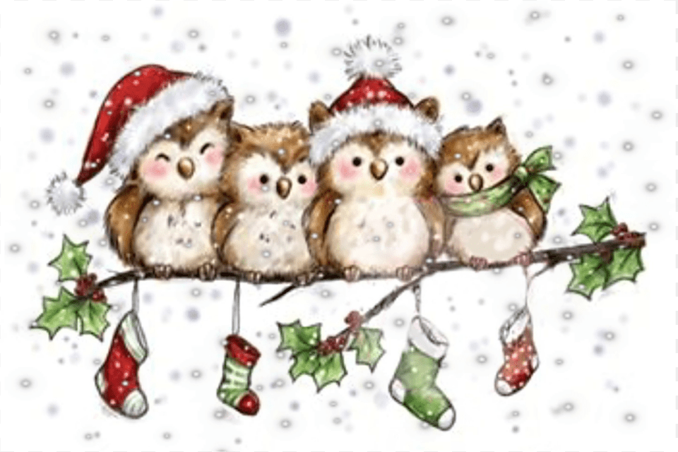 Christmas Owl Owls Family Welliesfamily Santahat, Nature, Outdoors, Winter, Snow Free Png