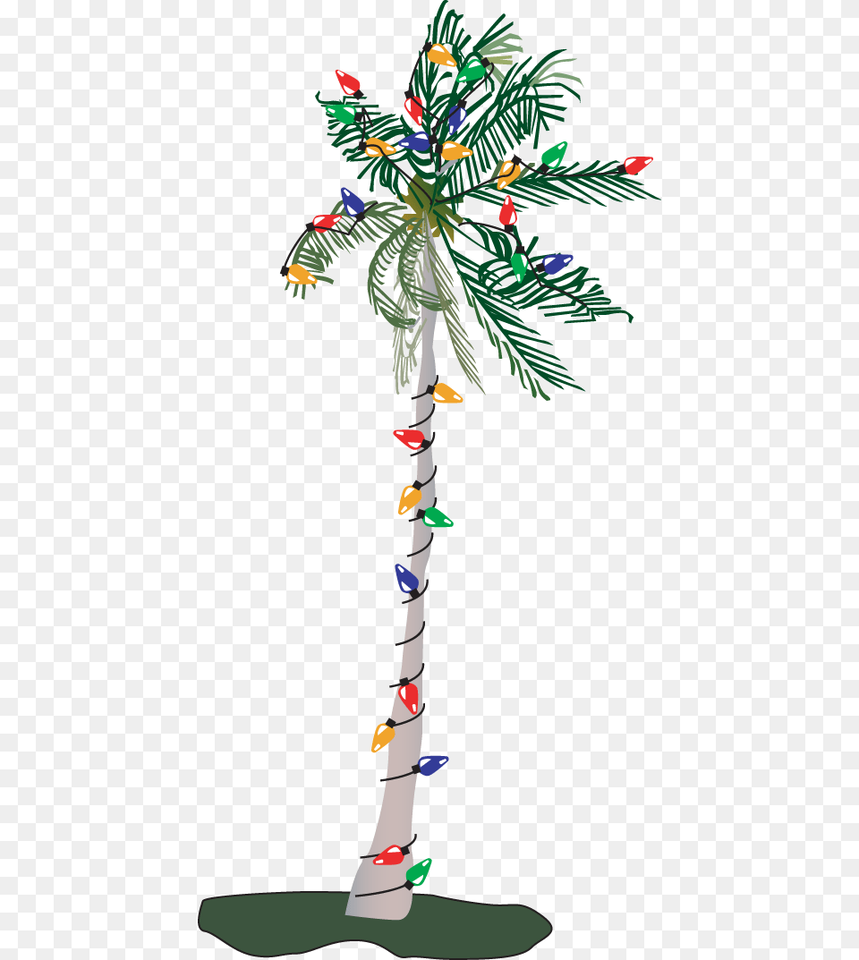 Christmas Palm Tree Clipart Black And White Palm Tree Clip Art, Plant, Christmas Decorations, Festival, Christmas Tree Png Image