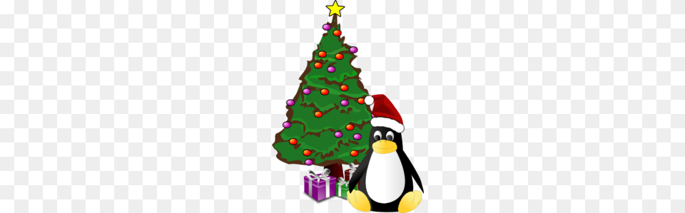 Christmas Penguin Clip Art, Plant, Tree, Christmas Decorations, Festival Free Png Download