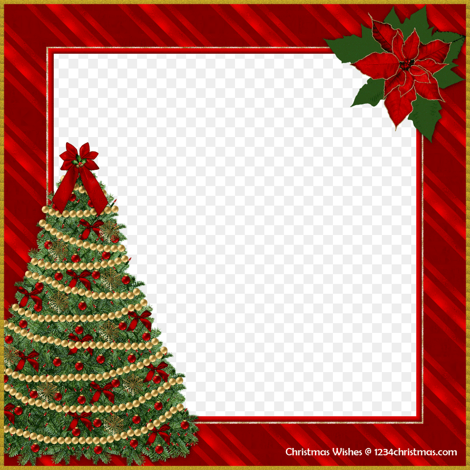 Christmas Photo Frame Templates For, Christmas Decorations, Festival, Christmas Tree, Plant Free Png Download