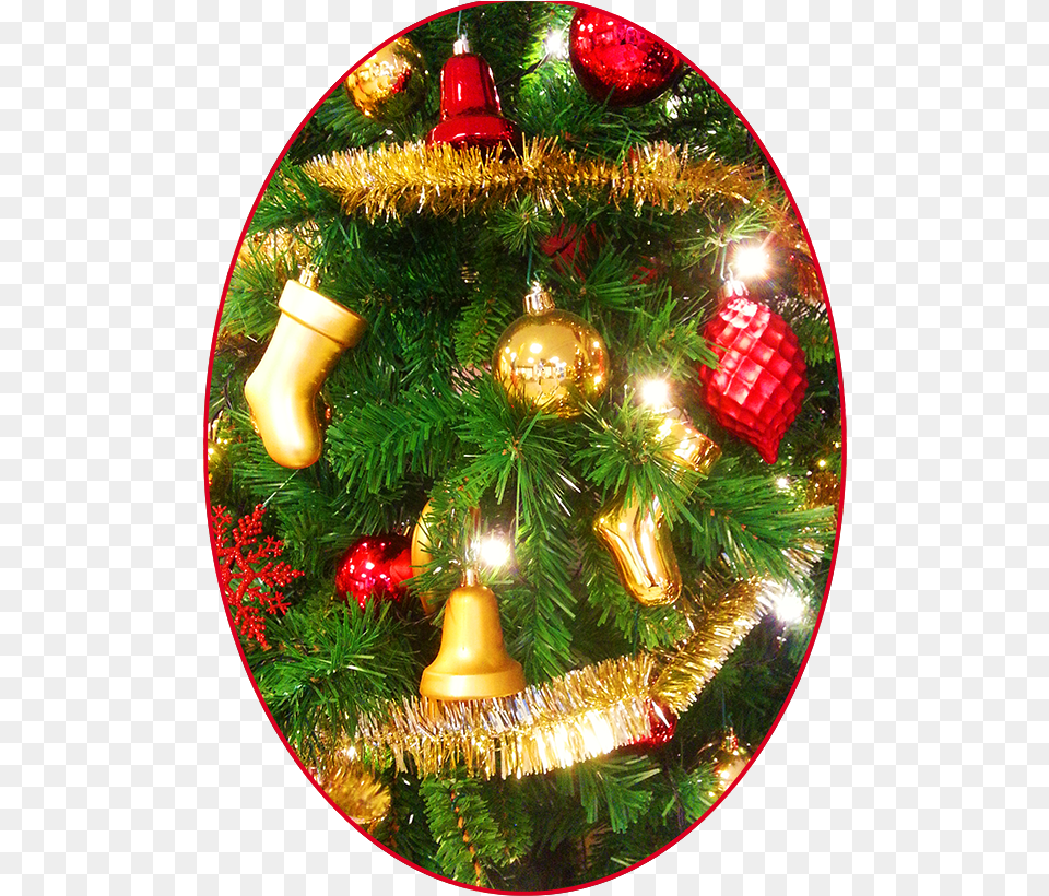 Christmas Pictures Decoration Christmas Ornament, Christmas Decorations, Festival, Christmas Tree, Plant Free Transparent Png