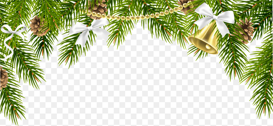 Christmas Pine Png