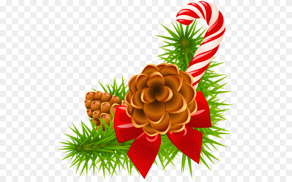 Christmas Pine Branch With Cones And Candy Cane Decor Holidays, Conifer, Plant, Tree, Food Free Png Download