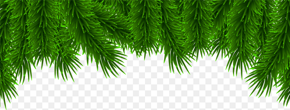 Christmas Pine Clip Art Free Transparent Png