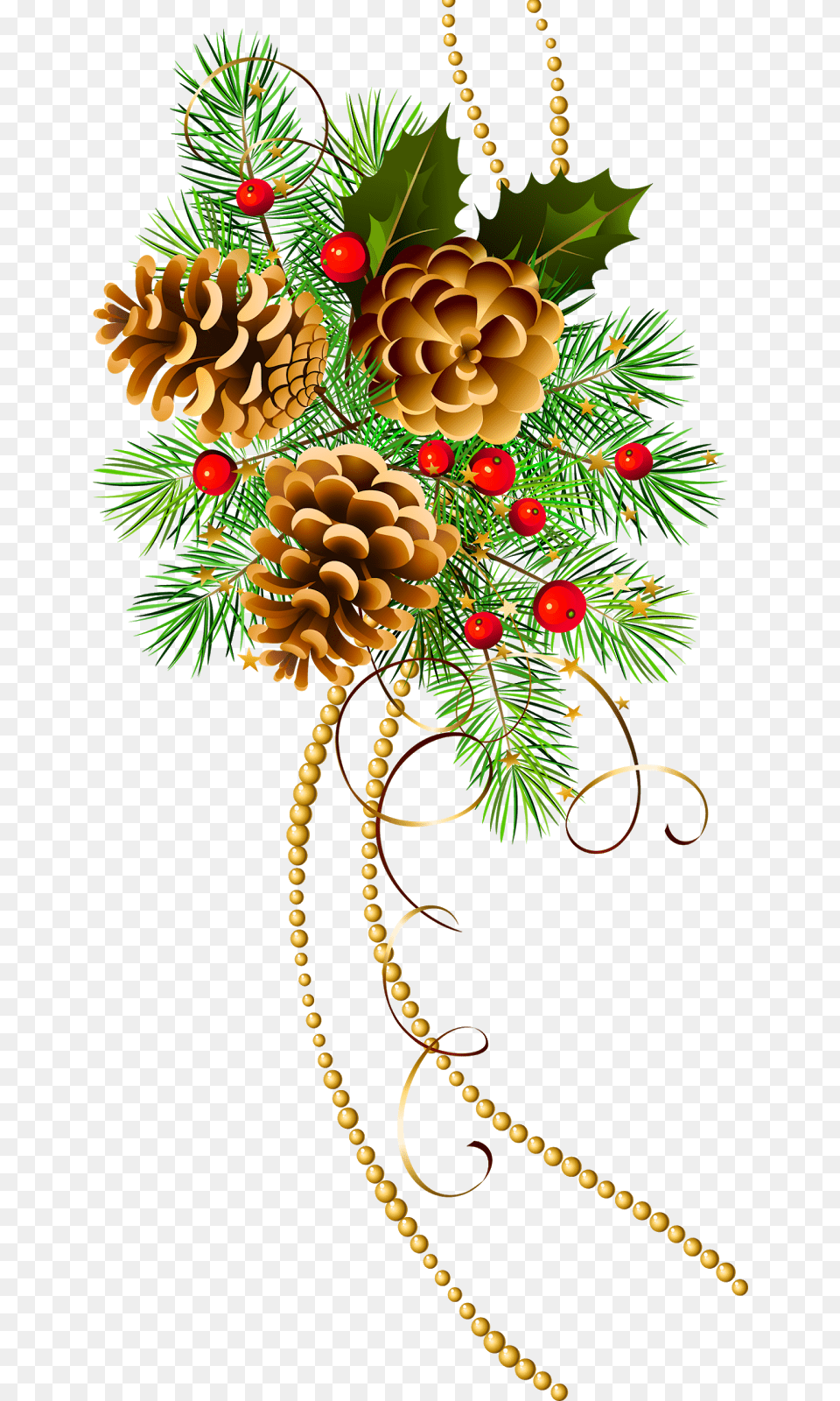 Christmas Pine Cone Clipart, Tree, Plant, Conifer, Pattern Free Png