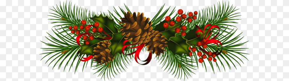 Christmas Pine Cone Mistletoe, Conifer, Pattern, Plant, Tree Png