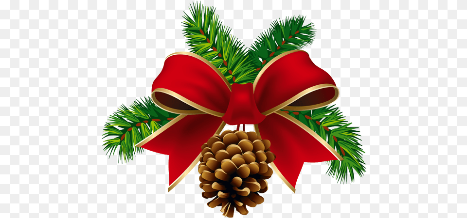 Christmas Pine Cones Clip Art, Conifer, Plant, Tree, Fir Free Png