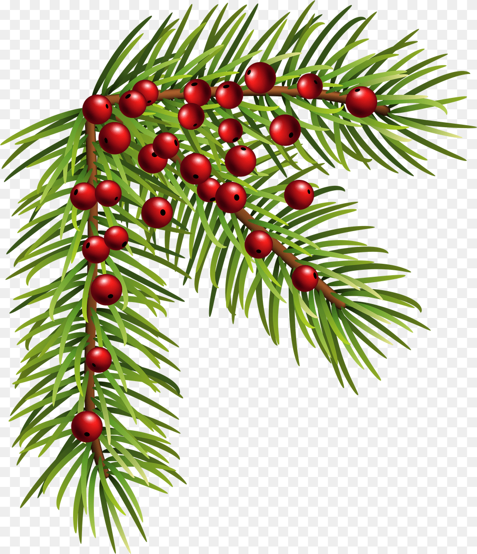 Christmas Pine Corner Clip Art Image Christmas Christmas Pine Clipart Free Transparent Png