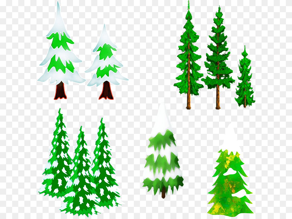 Christmas Pine Snow Trees Trees Christmas Snow Pino Con Nieve, Plant, Tree, Fir, Christmas Decorations Free Png