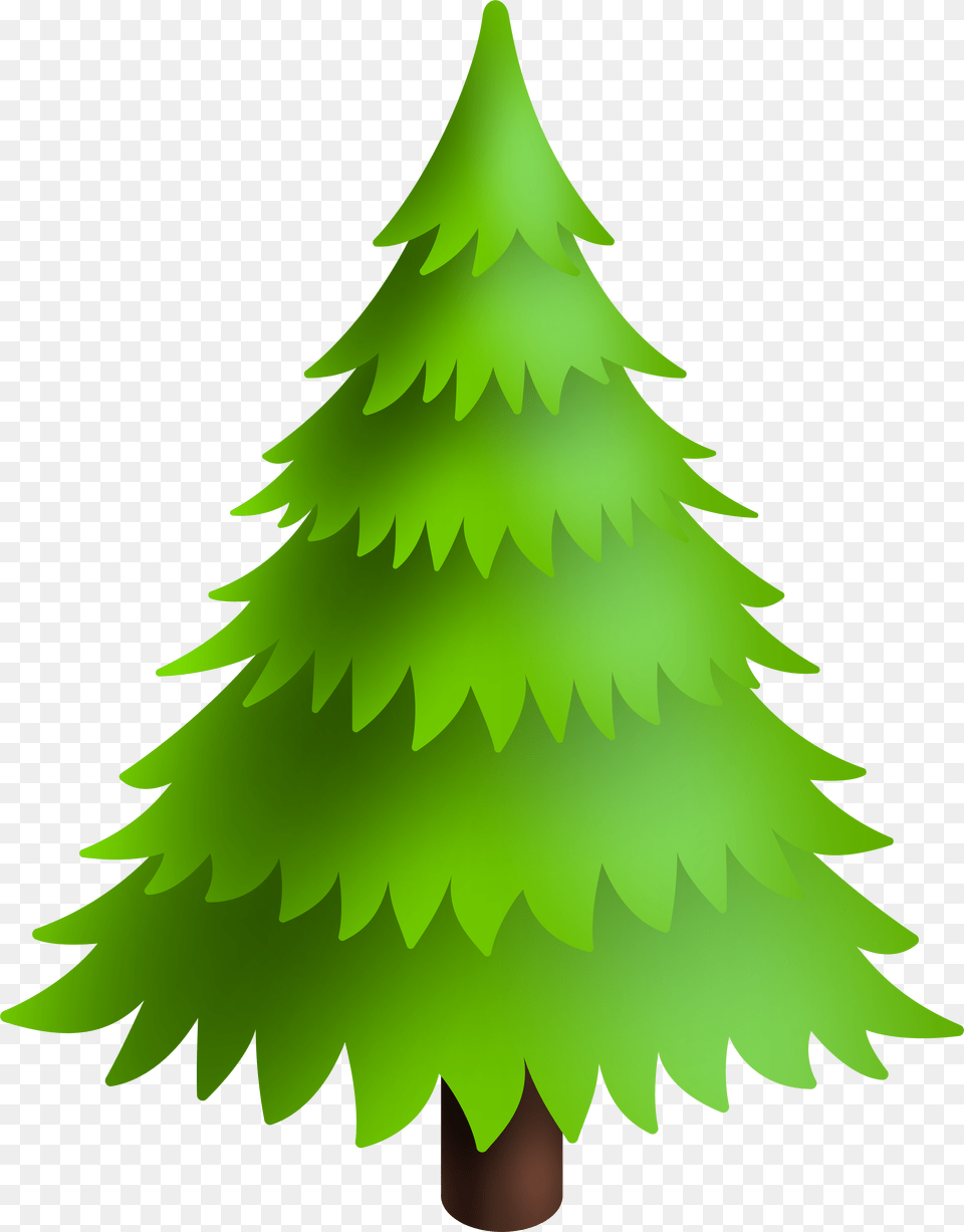 Christmas Pine Tree Clipart Snowy, Green, Plant, Christmas Decorations, Festival Png Image