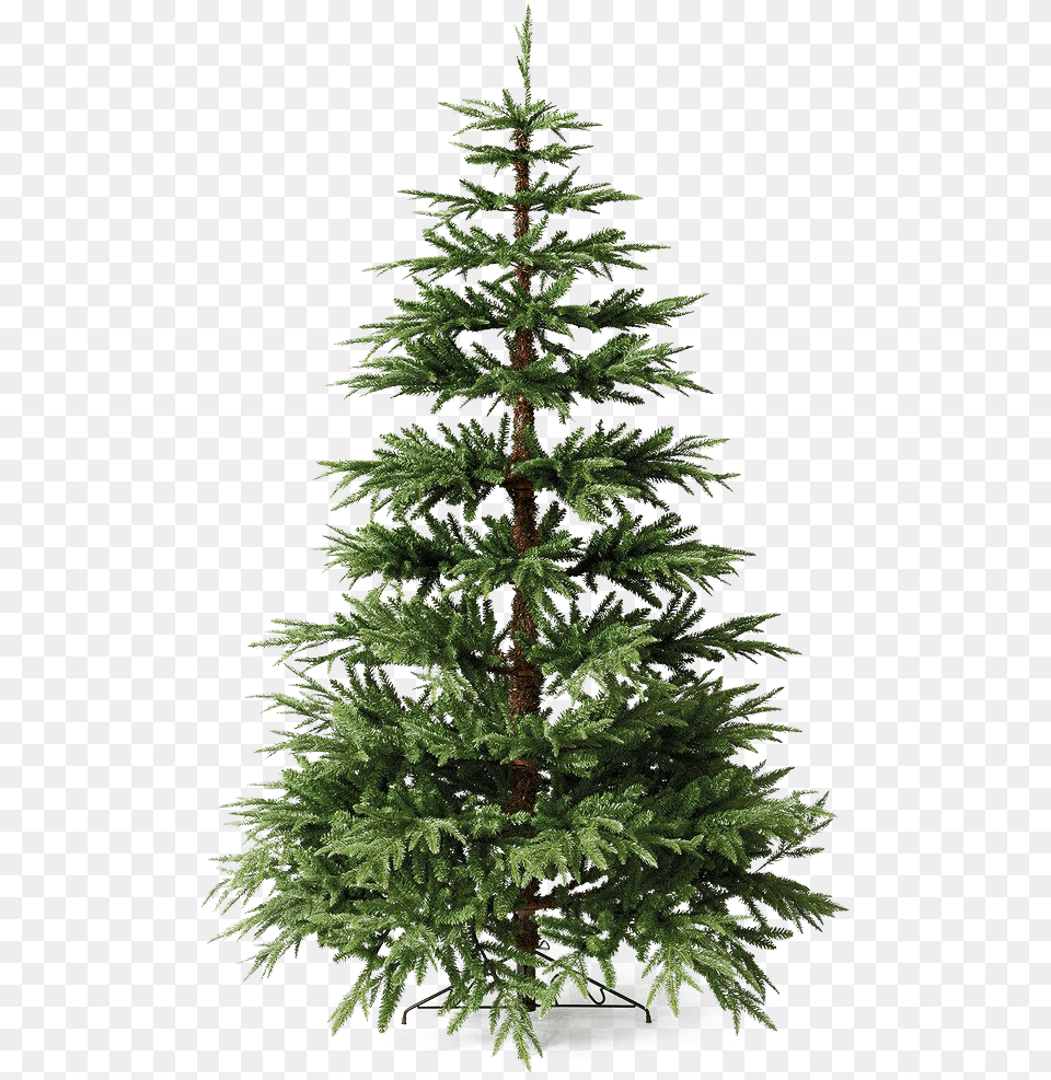 Christmas Pine Tree File Christmas Tree, Fir, Plant, Conifer Png Image