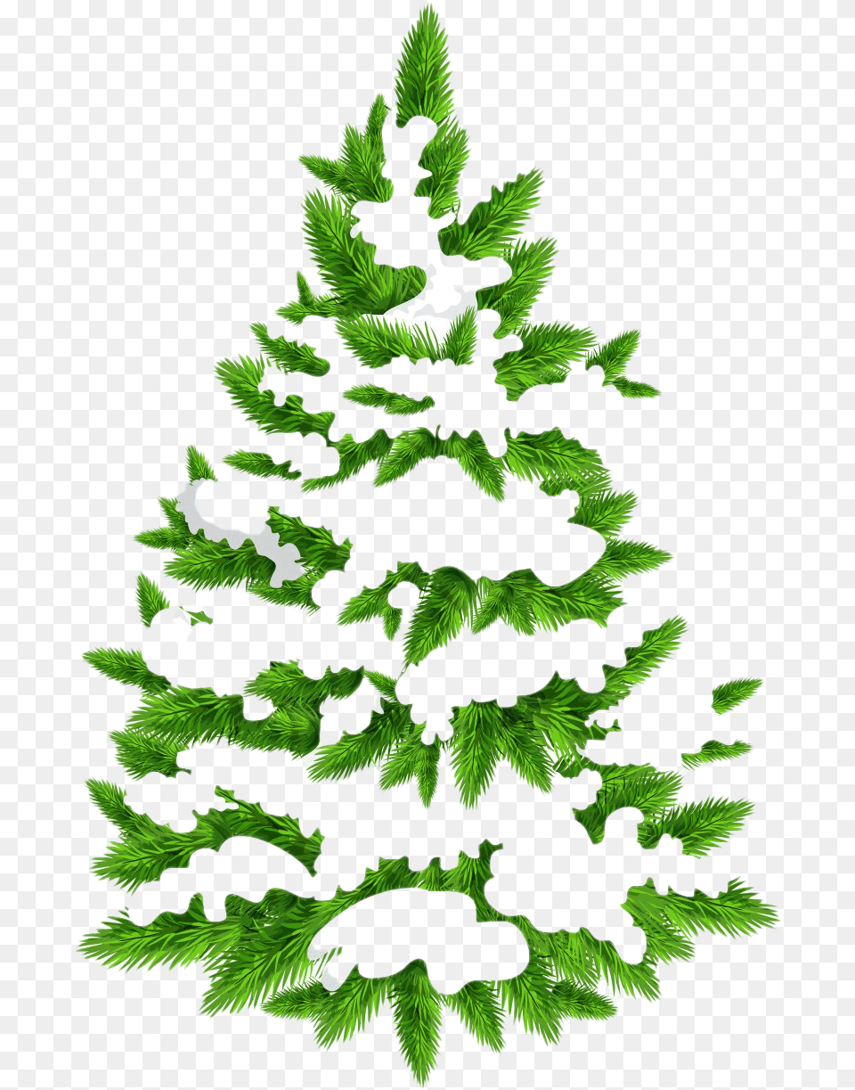 Christmas Pine Tree Hd Christmas Snow Tree, Green, Leaf, Plant, Fir Png