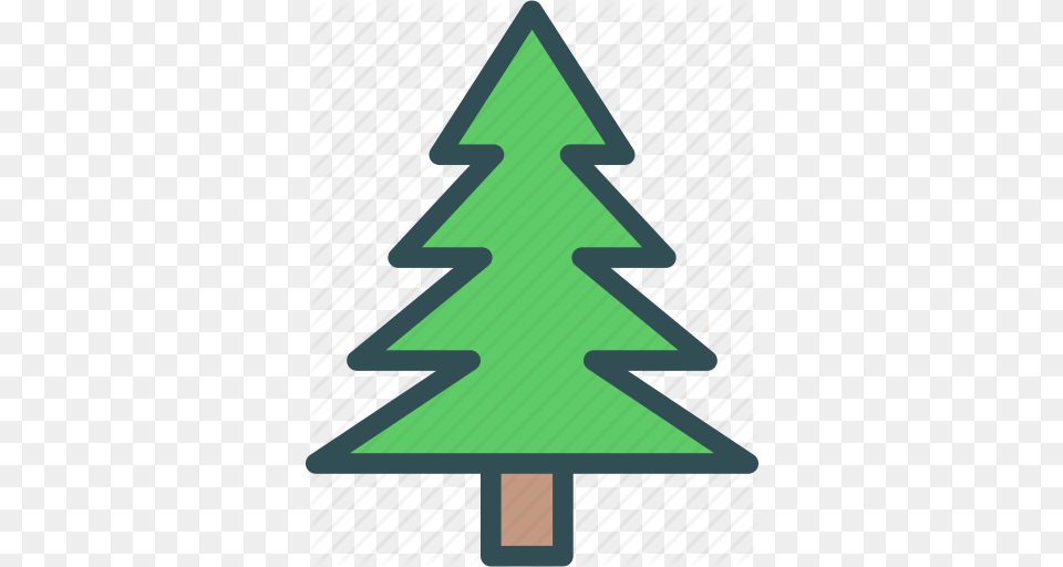 Christmas Pine Tree Icon, Christmas Decorations, Festival, Christmas Tree Free Png