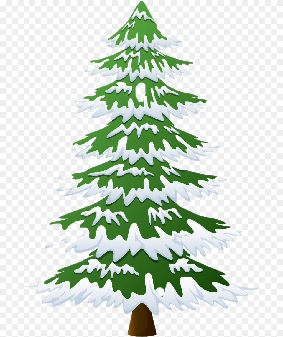 Christmas Pine Tree Photo Transparent Background Snowy Tree Clipart, Plant, Fir, Christmas Decorations, Festival Free Png Download