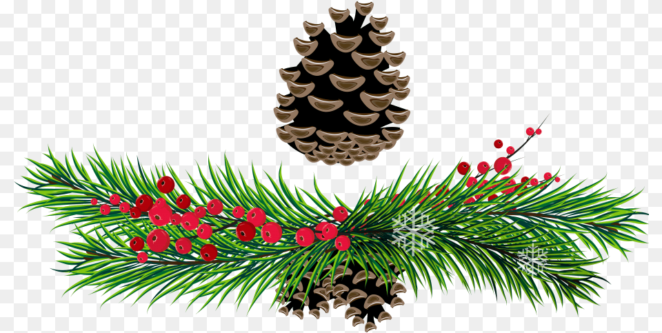 Christmas Pinecone Pencil And Clip Art Christmas Pinecone Wreath, Conifer, Graphics, Pattern, Plant Png Image