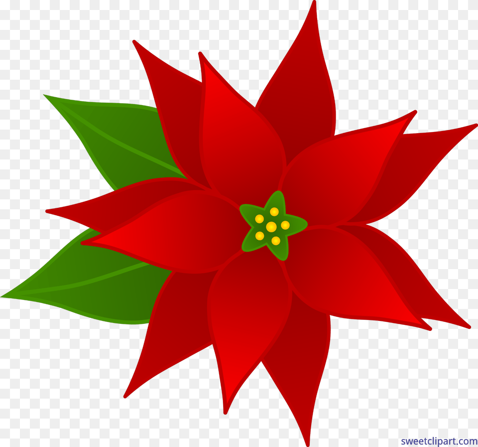 Christmas Poinsettia Clip Art, Dahlia, Flower, Leaf, Petal Free Png Download