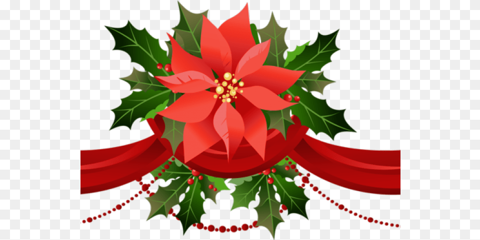 Christmas Poinsettia Clipart Christmas Clip Art Poinsettia Transparent Background Poinsettia, Floral Design, Graphics, Leaf, Pattern Png