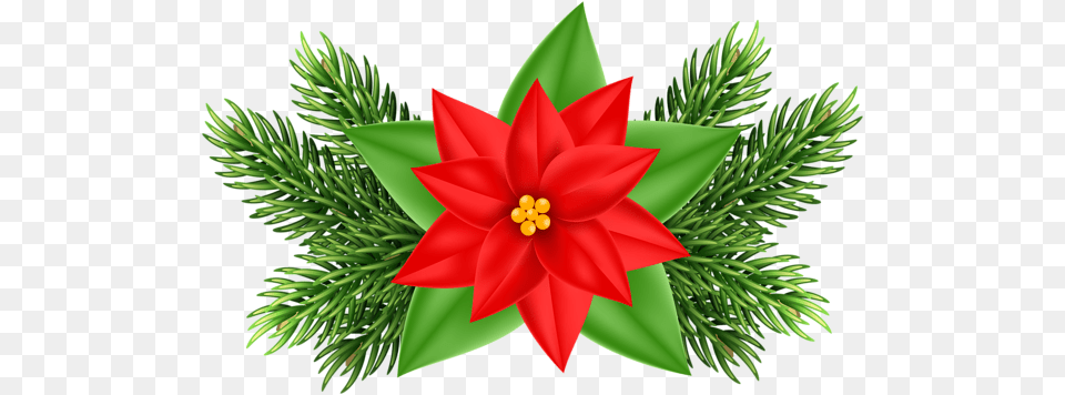 Christmas Poinsettia Deco Clip Art Gallery, Leaf, Plant, Tree, Conifer Free Png