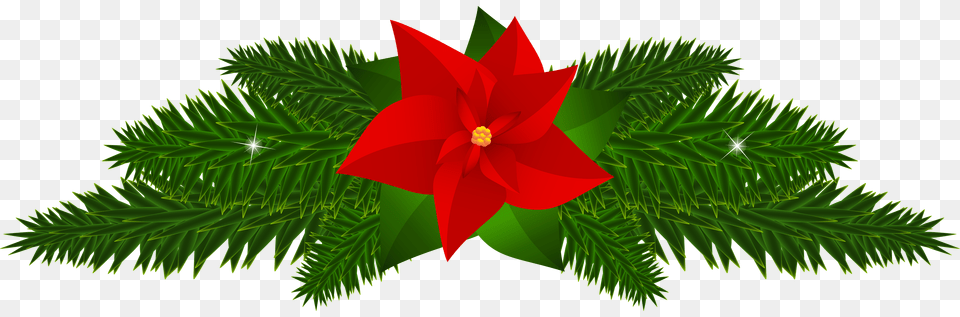 Christmas Poinsettia Decoration Clip Gallery Free Transparent Png