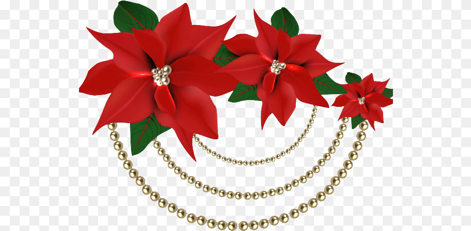 Christmas Poinsettia File Clipart Christmas Flower, Accessories, Jewelry, Necklace, Plant Free Transparent Png