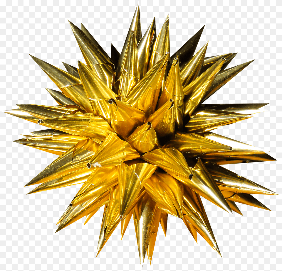 Christmas Poinsettia Star Decoration Christmas Day, Gold, Accessories, Flower, Plant Png Image