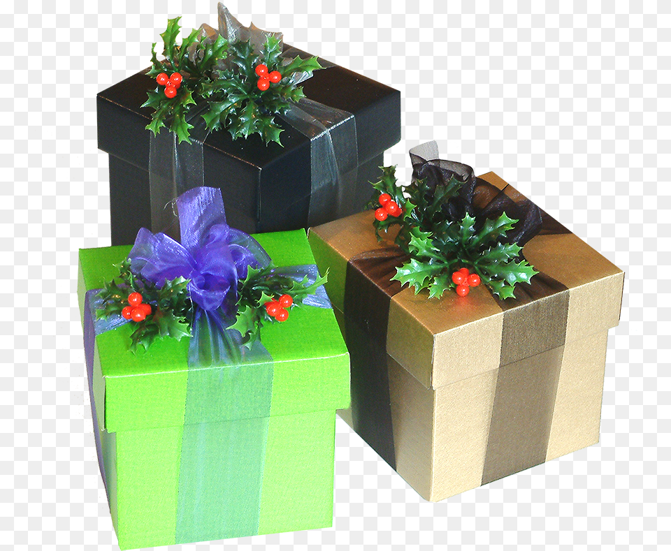 Christmas Presents Clipart Cool Christmas Things, Flower, Flower Arrangement, Flower Bouquet, Plant Free Png