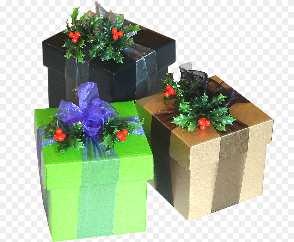 Christmas Presents Clipart Gift Full Size Regalos, Flower, Flower Arrangement, Flower Bouquet, Plant Free Png