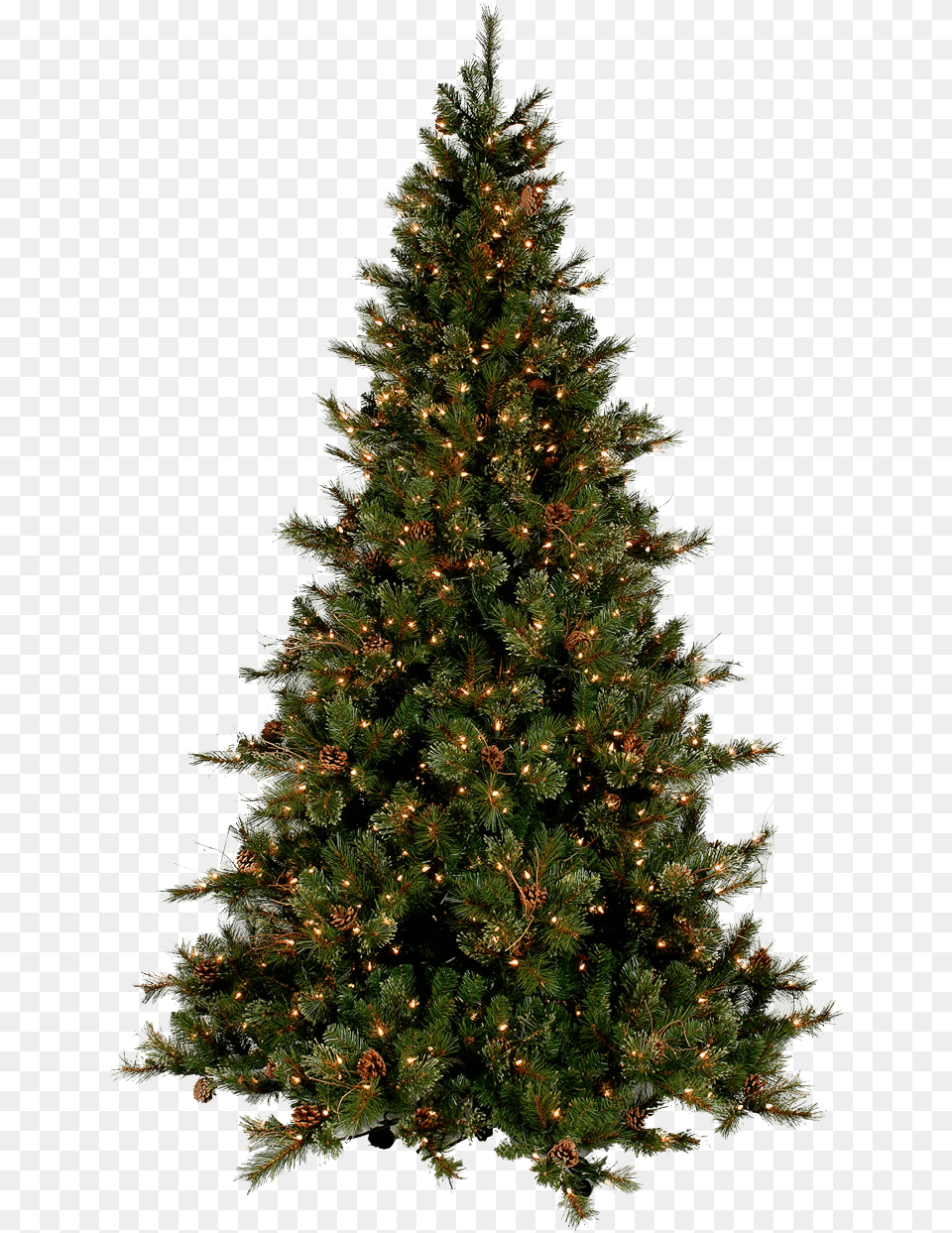 Christmas Real Christmas Tree, Plant, Pine, Christmas Decorations, Festival Png Image