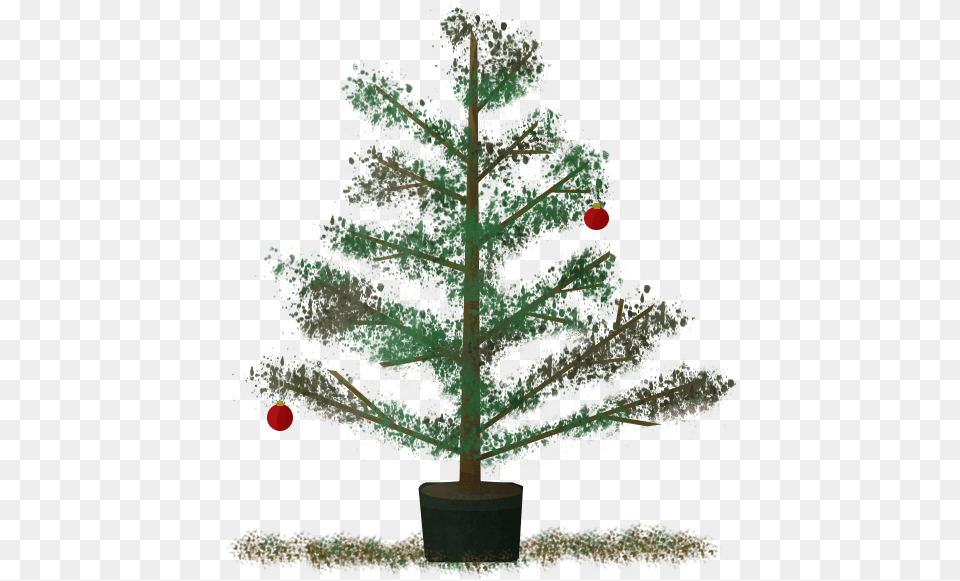 Christmas Recycling Facts Simply Branch Pine Christmas, Plant, Tree, Christmas Decorations, Conifer Png Image