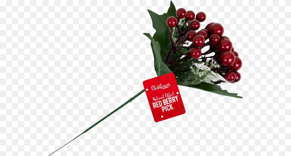 Christmas Red Berry Pick With Pdq Floral Design, Food, Fruit, Plant, Produce Png
