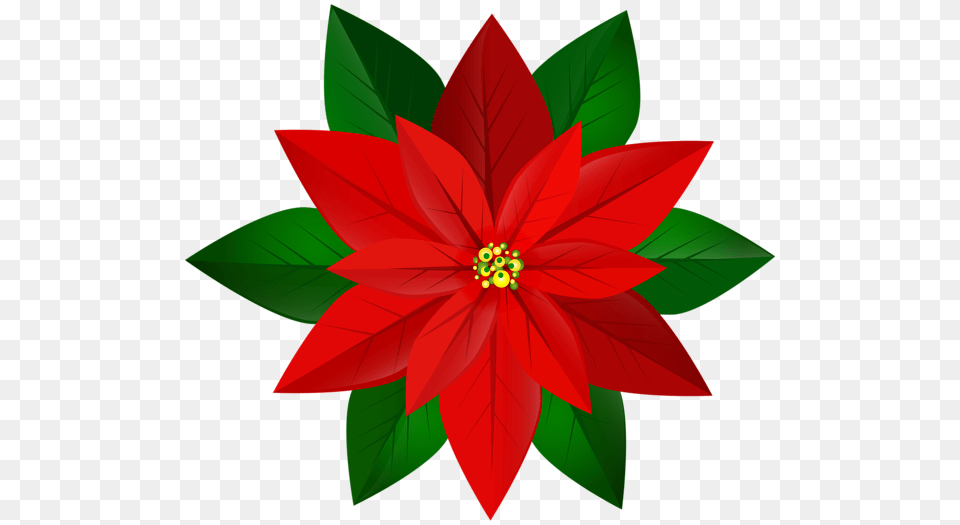 Christmas Red Poinsettia Clip Art Gallery, Dahlia, Flower, Plant, Leaf Free Png