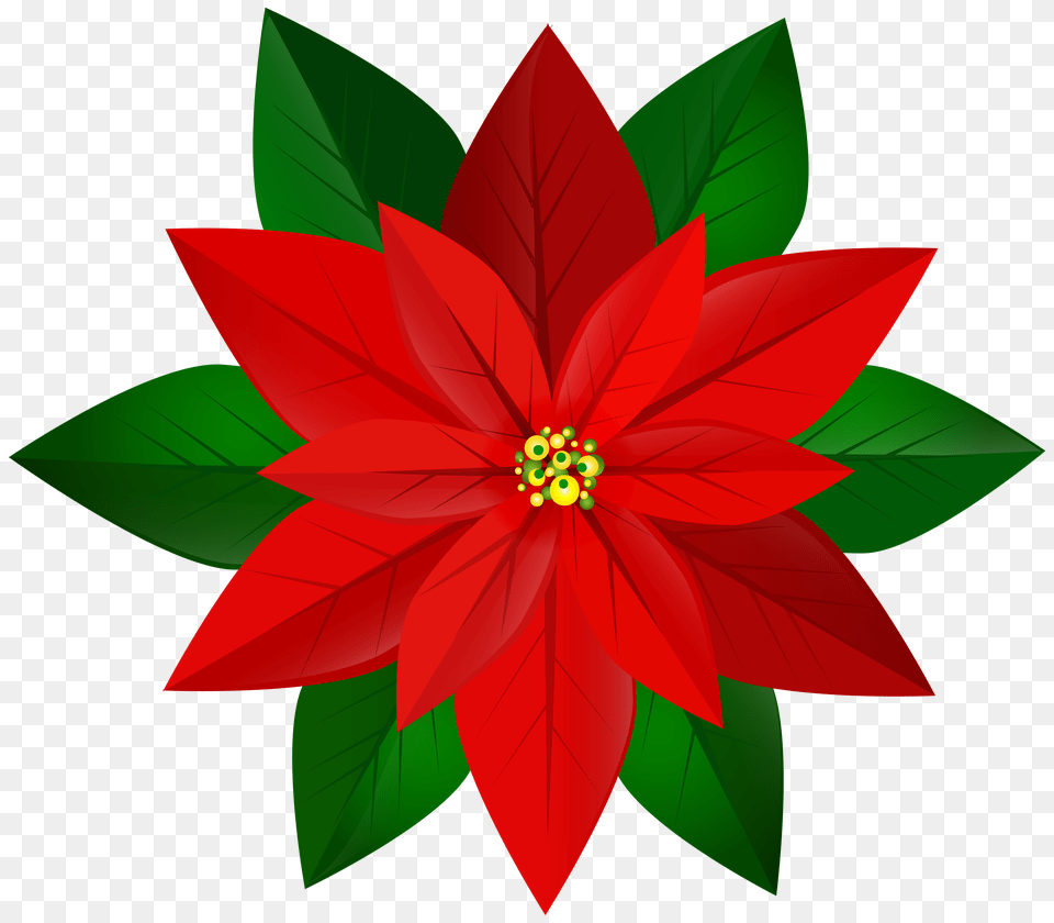 Christmas Red Poinsettia Clip Art Gallery, Leaf, Plant, Flower, Dahlia Png Image