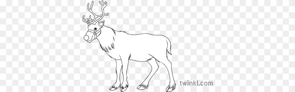 Christmas Reindeer Colouring Black And White Illustration Spirit Of The Union Logo, Animal, Deer, Mammal, Wildlife Free Transparent Png