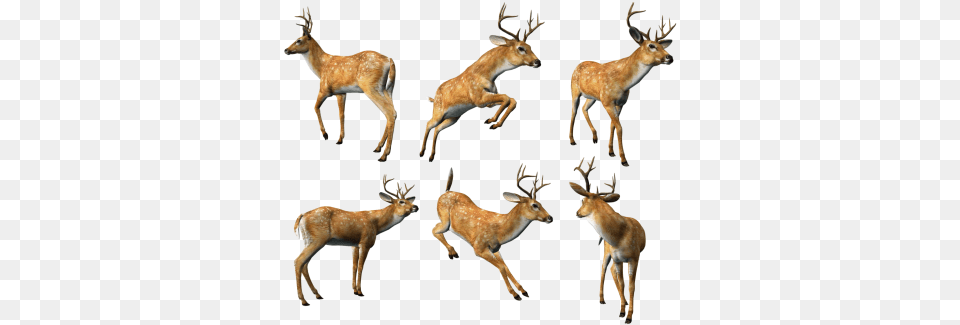 Christmas Reindeer File Dlpngcom Deer, Animal, Mammal, Wildlife, Antelope Free Transparent Png