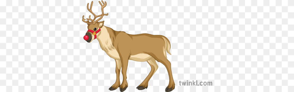 Christmas Reindeer Illustration Animal Figure, Wildlife, Deer, Mammal, Adult Free Png Download