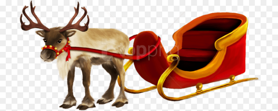 Christmas Reindeer Reindeer And Sleigh, Animal, Antelope, Mammal, Wildlife Png