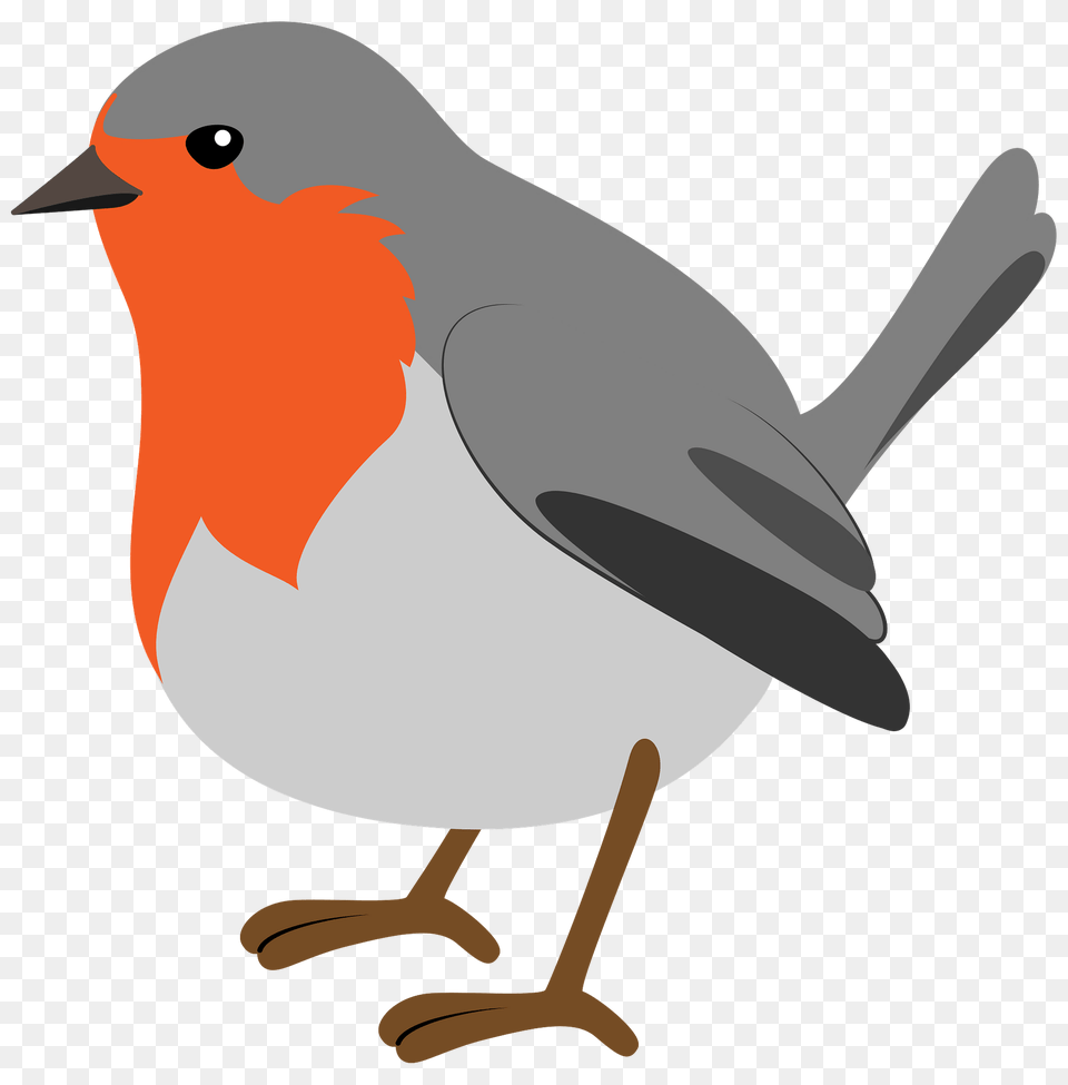 Christmas Robin Clipart, Animal, Bird, Finch, Beak Png Image