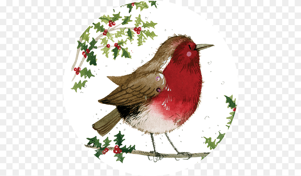 Christmas Robin Gift Tag Alex Clark Art Christmas Robin, Animal, Bird, Finch Free Png