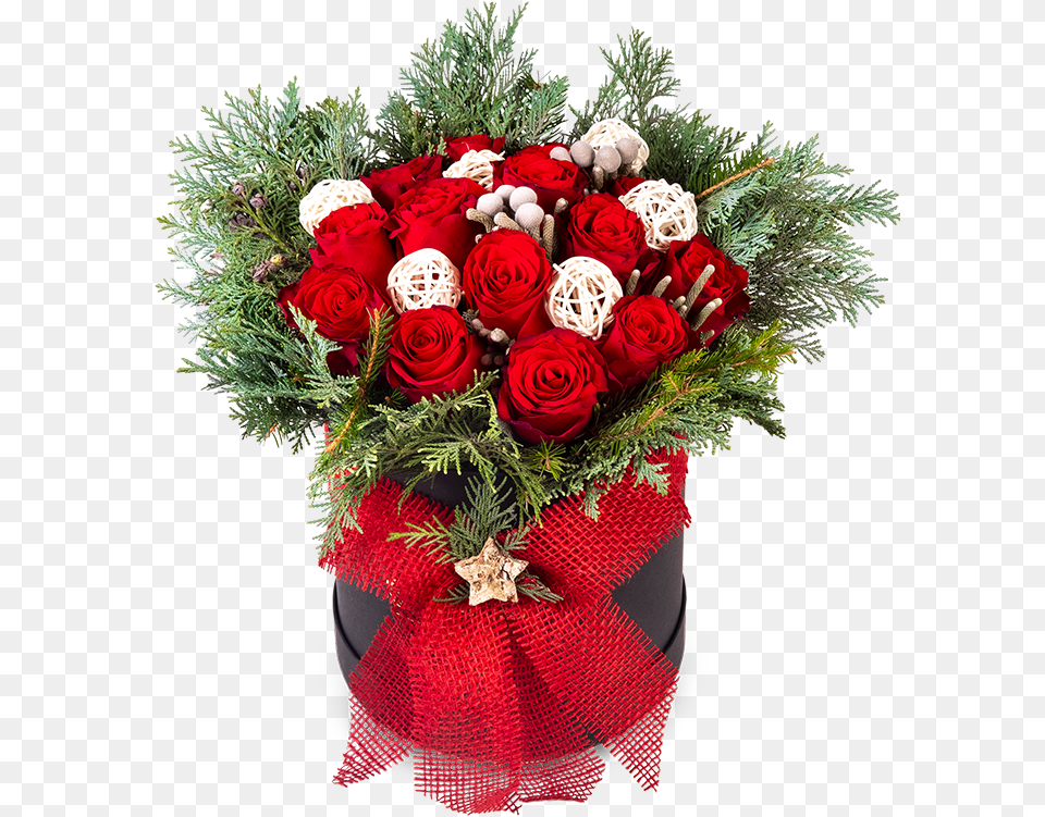 Christmas Rose Box, Flower Bouquet, Plant, Flower Arrangement, Flower Png