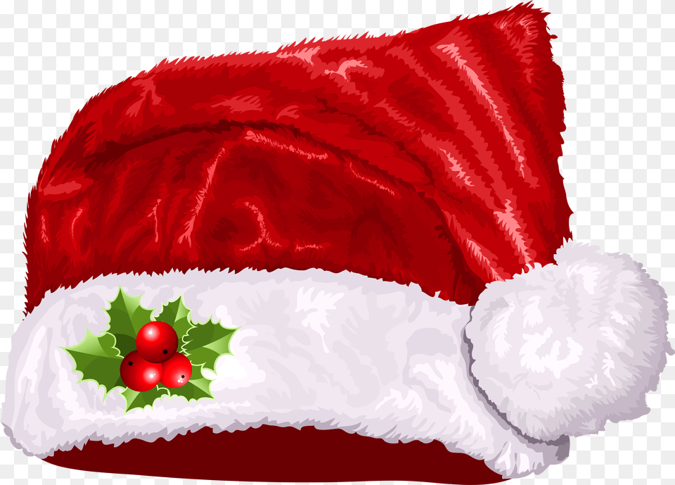 Christmas Santa Claus Hat Images Christmas Cap Download, Flower, Plant, Rose, Clothing Free Transparent Png