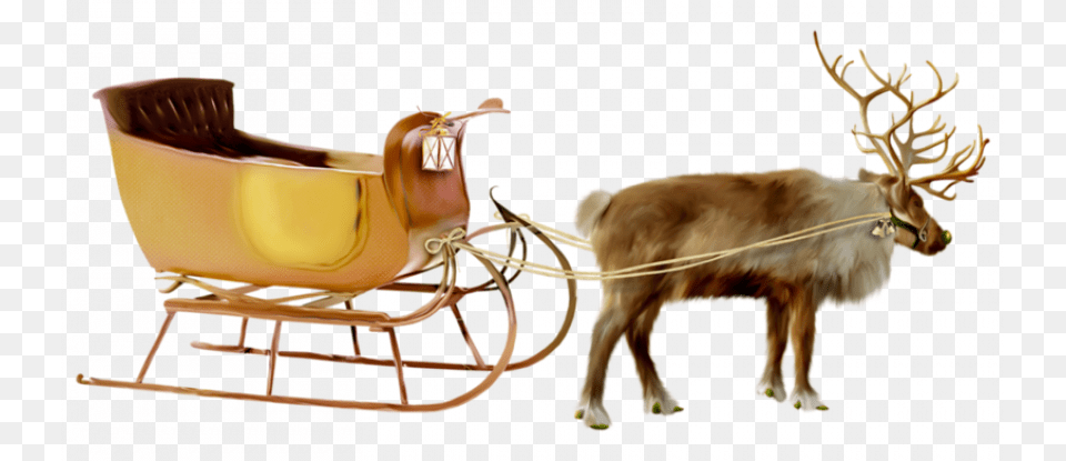 Christmas Santa Deer, Animal, Canine, Dog, Mammal Free Png Download