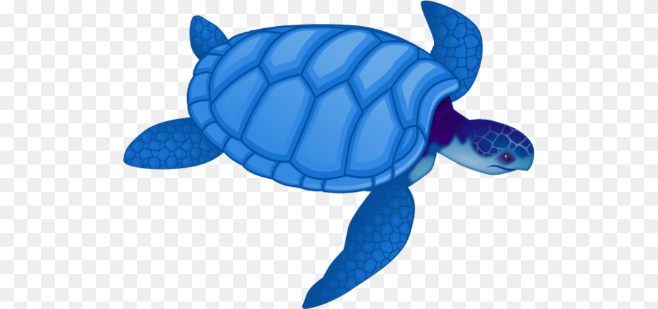 Christmas Sea Turtle Clipart, Animal, Reptile, Sea Life, Sea Turtle Free Transparent Png